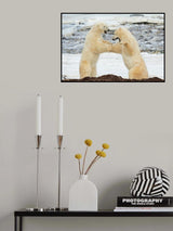 Fight or Fun? Poster och Canvastavla