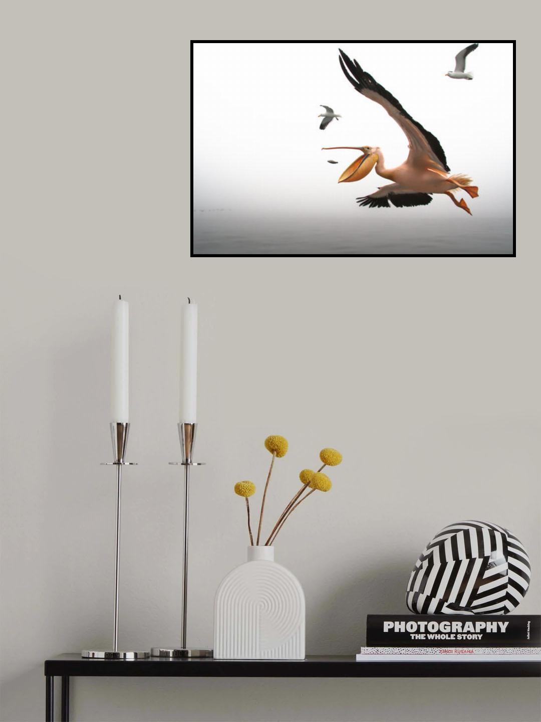 Pelican breakfast Poster och Canvastavla