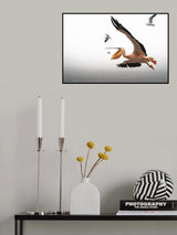 Pelican breakfast Poster och Canvastavla