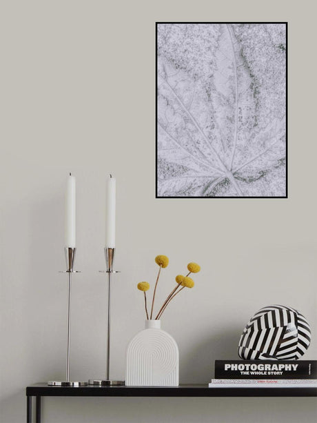 Return to Earth Poster och Canvastavla