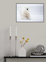 Total White Poster och Canvastavla