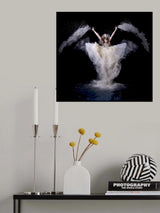 Powder Rush Poster och Canvastavla