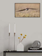 Swift and Low Poster och Canvastavla
