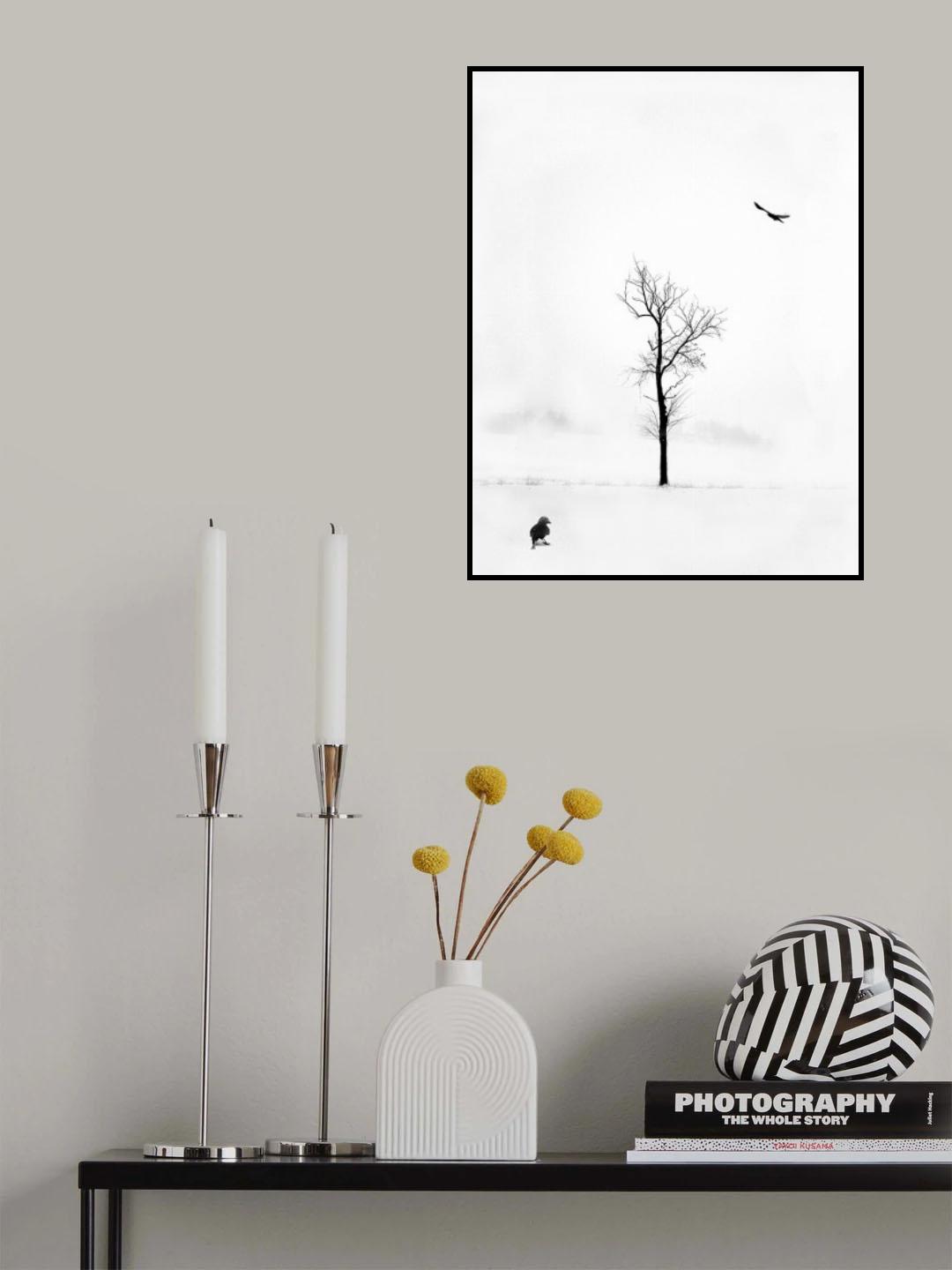 White solitude Poster och Canvastavla