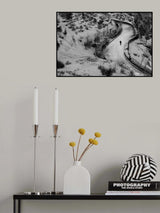 Lonliness Poster och Canvastavla