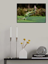 eating Poster och Canvastavla