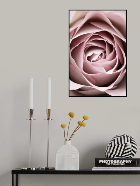 Pink Rose No 04 Poster och Canvastavla