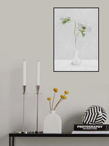 Curves Poster och Canvastavla