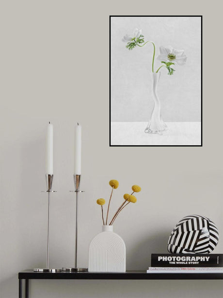 Curves Poster och Canvastavla