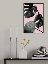 Monstera Pink No 04 Poster och Canvastavla