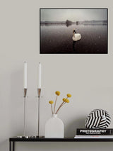 My swan III Poster och Canvastavla