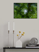 In Bloom Poster och Canvastavla