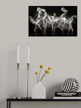 Ballerina Story Poster och Canvastavla