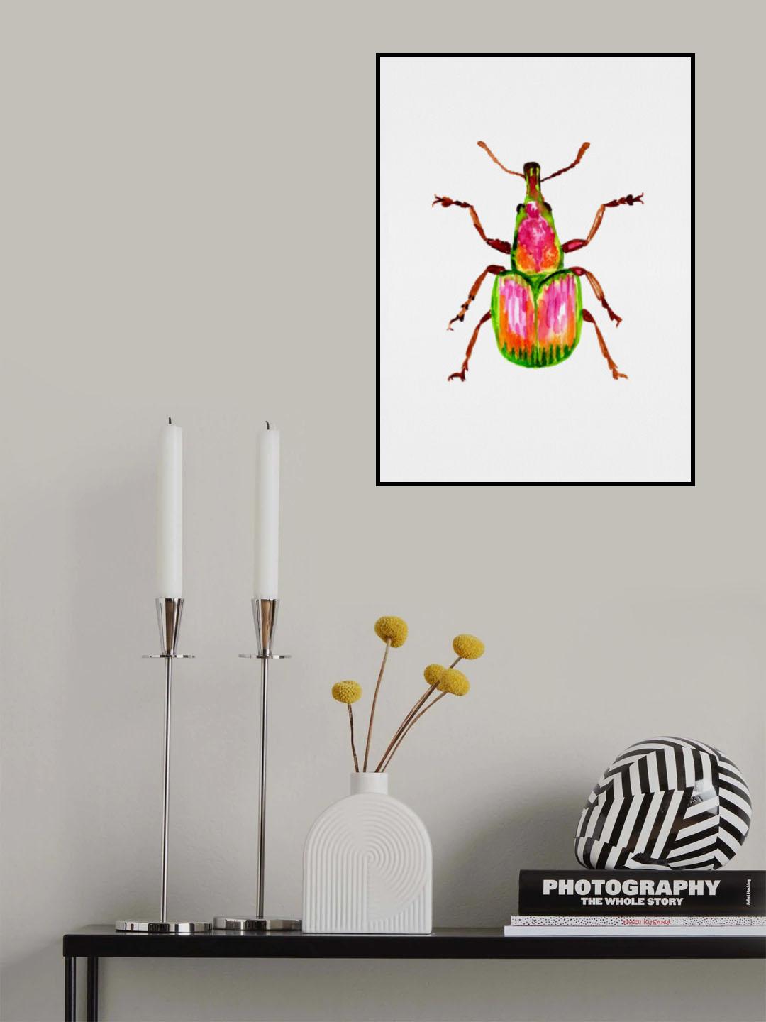 Apricot weevil or Epirhynchites auratus Poster och Canvastavla
