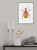 Apricot weevil or Epirhynchites auratus Poster och Canvastavla