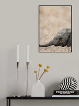 Jellybaby Poster och Canvastavla