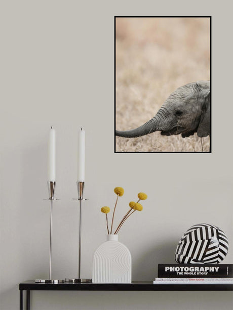 Jellybaby Poster och Canvastavla