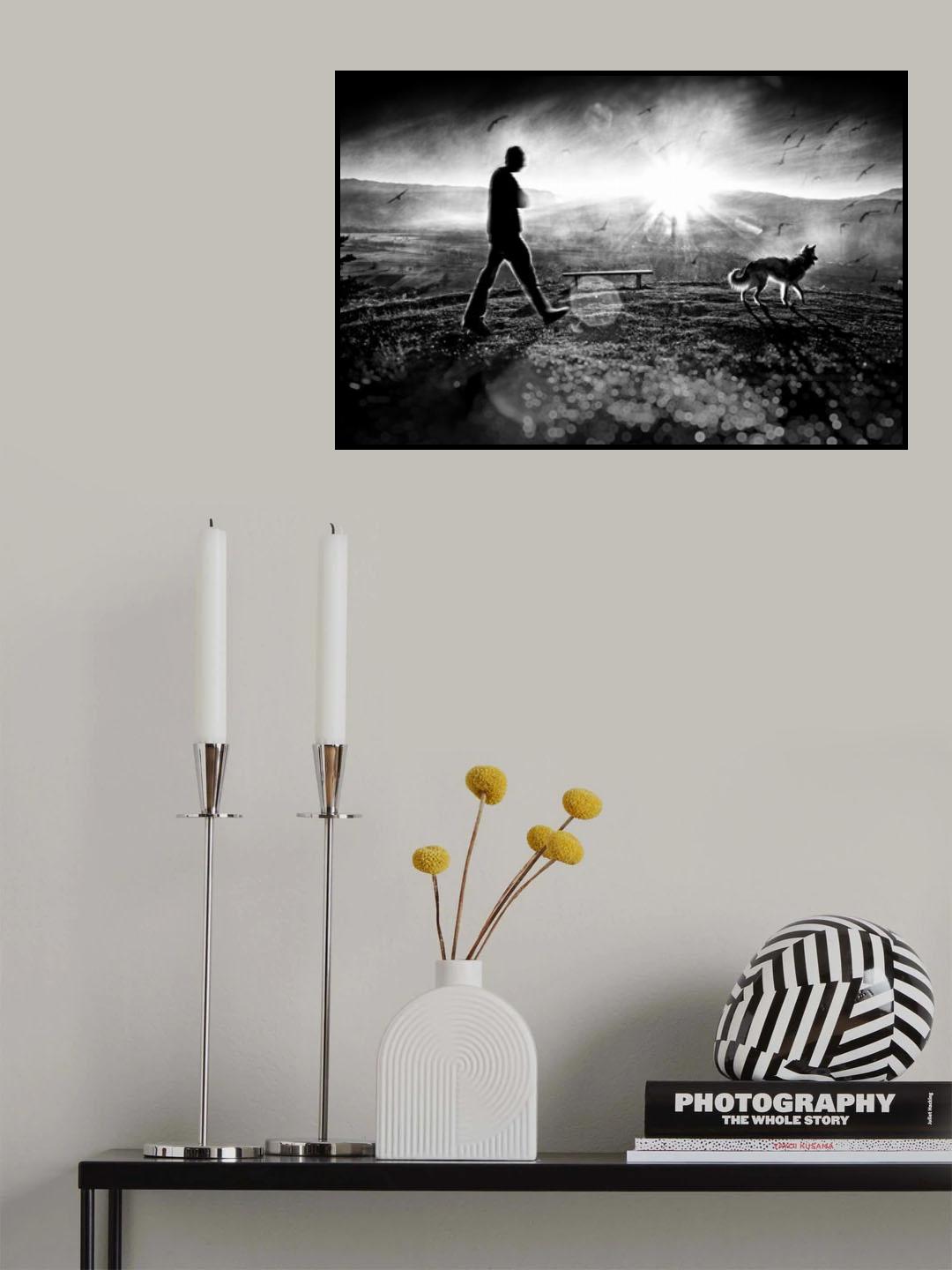 light &amp; illusion Poster och Canvastavla