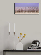 Comrades in color Poster och Canvastavla