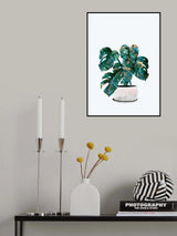 Monstera house plant Poster och Canvastavla