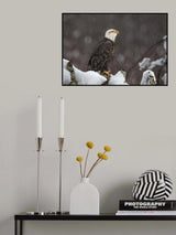Proud but cold Poster och Canvastavla