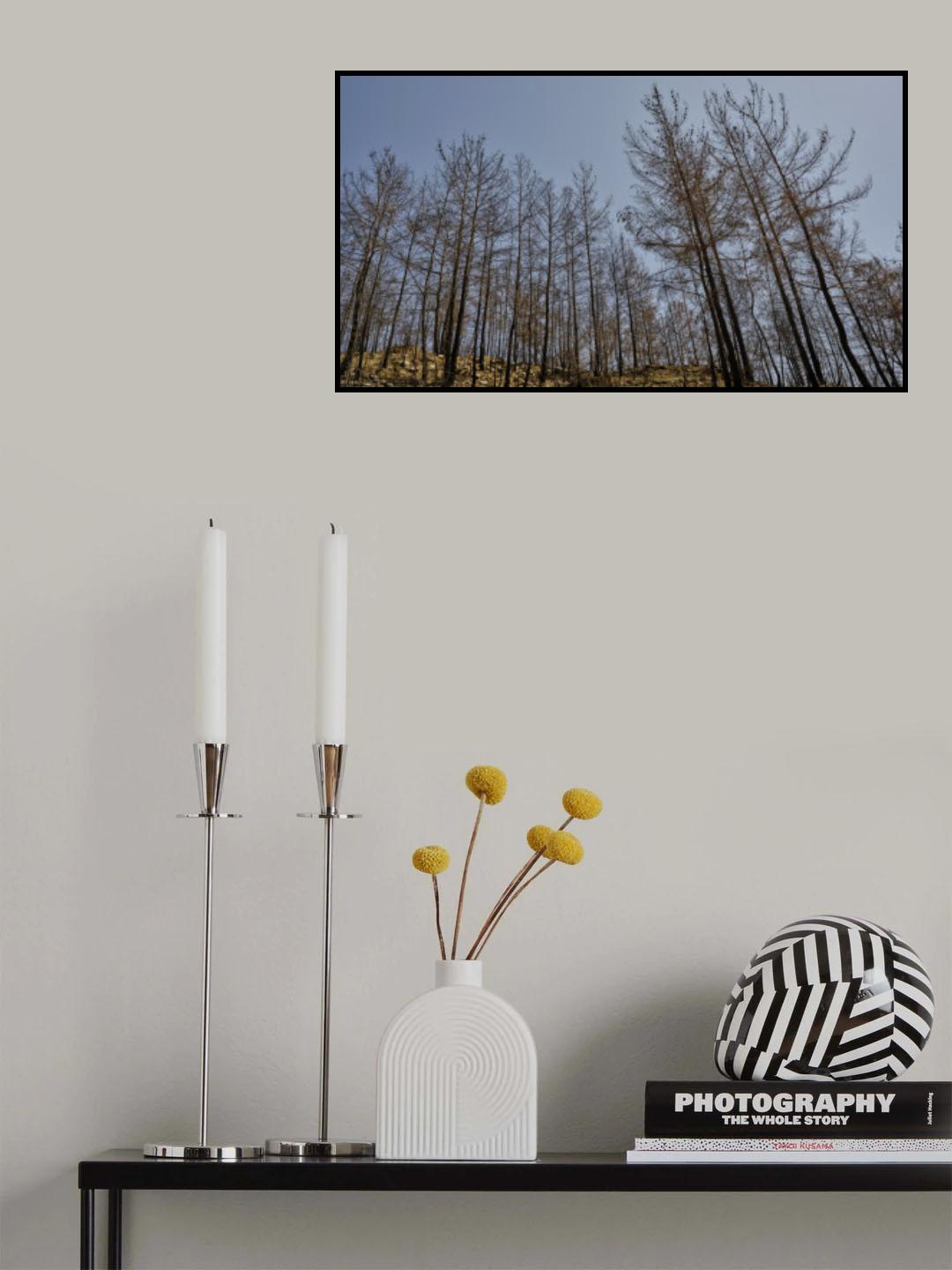 burnt trees in the forest Poster och Canvastavla