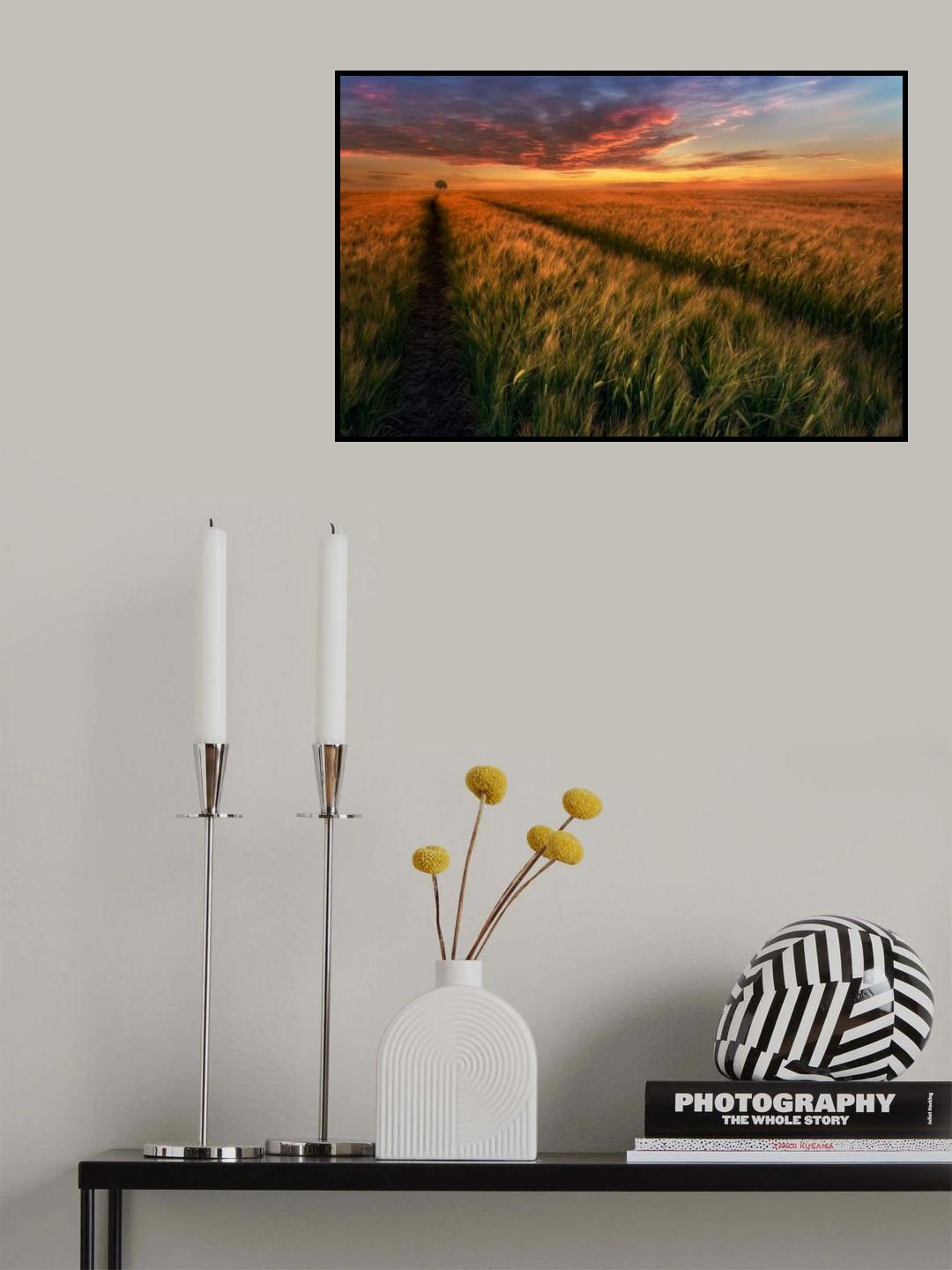 Somewhere at sunset Poster och Canvastavla
