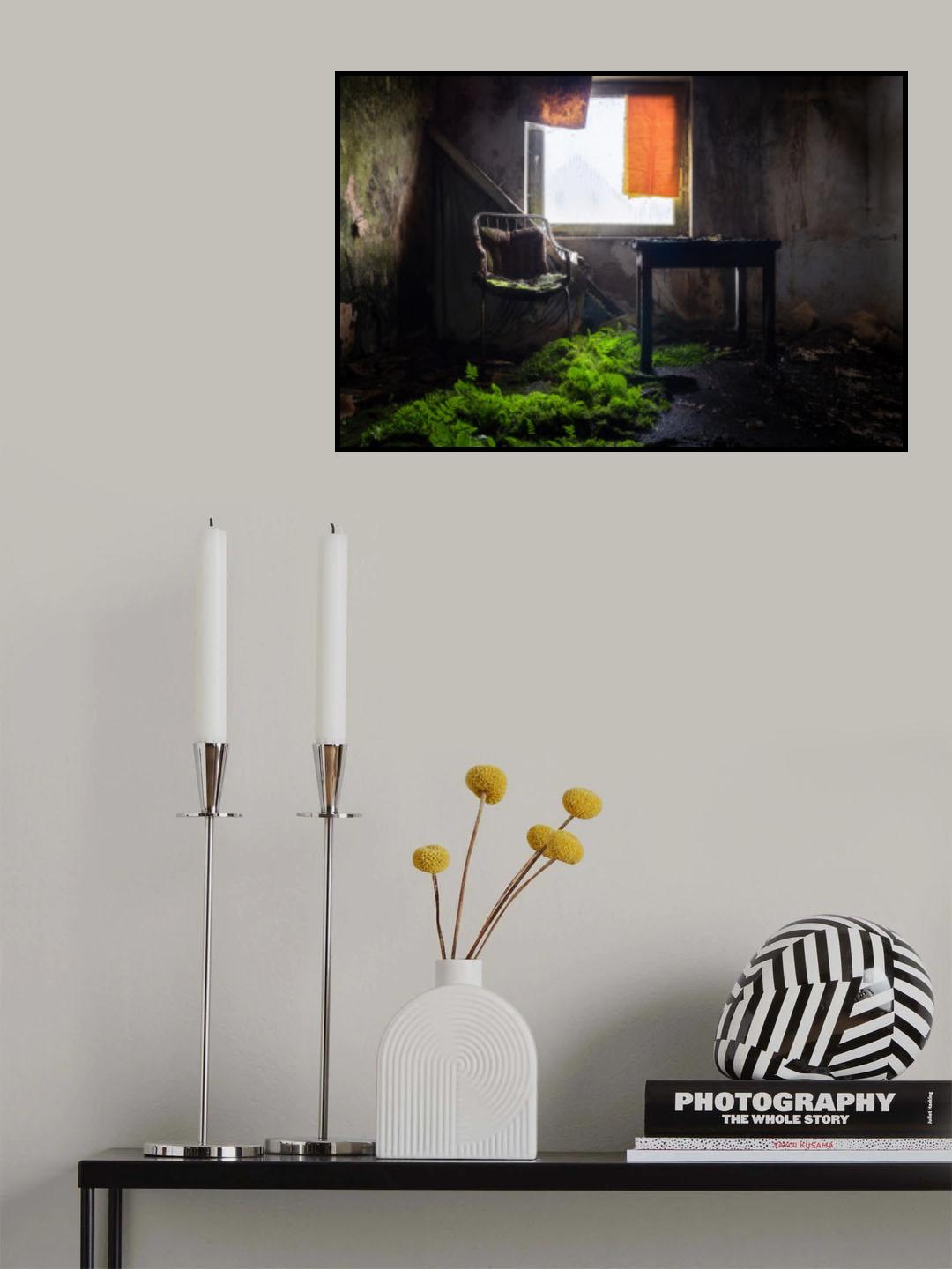 Plants in Line Poster och Canvastavla