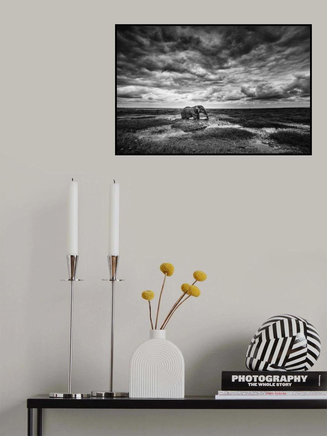 Amboseli Poster och Canvastavla