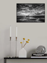 Amboseli Poster och Canvastavla