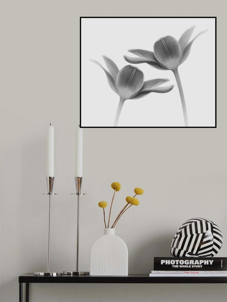 Twice the same Poster och Canvastavla