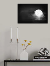 ,,, Poster och Canvastavla