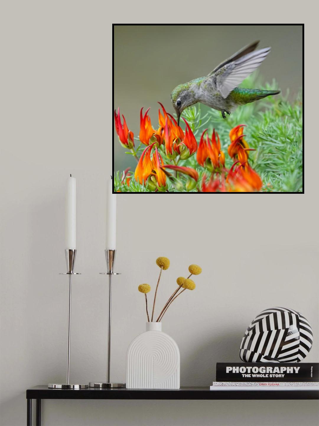 The Beak and the Beak Poster och Canvastavla