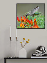 The Beak and the Beak Poster och Canvastavla