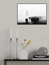 black and white sheep flock Poster och Canvastavla