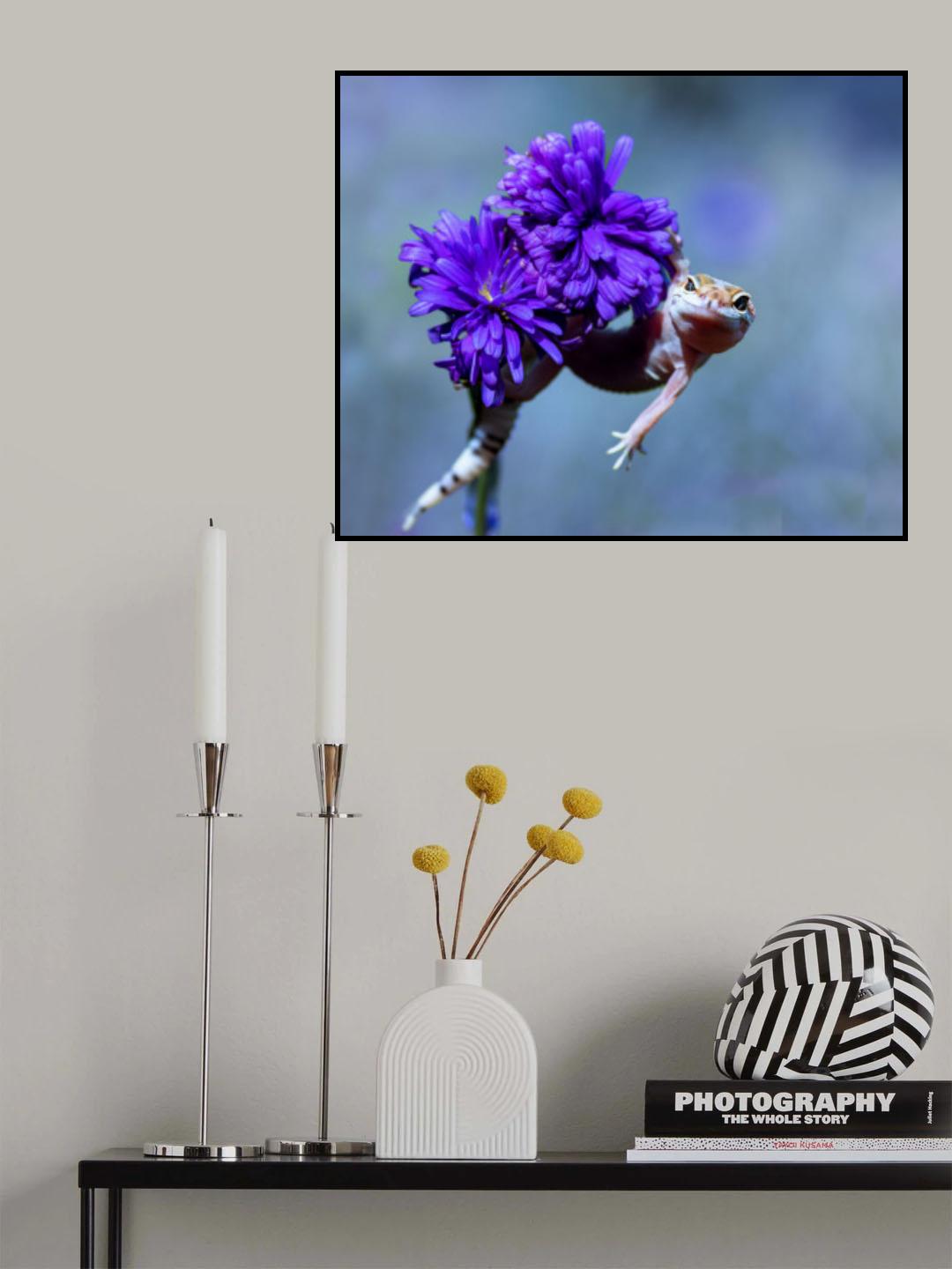 Gecko Poster och Canvastavla