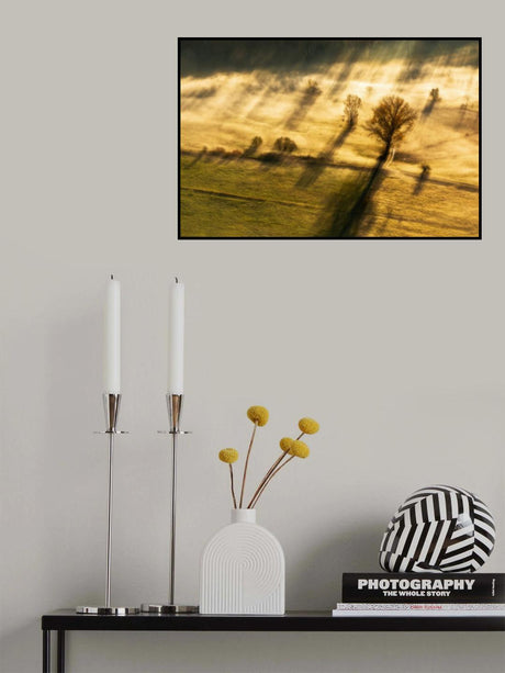 Spirito inquieto Poster och Canvastavla