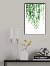 Watercolor string of pearls Poster och Canvastavla