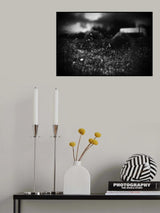 Poster och Canvastavla