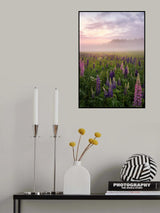 Lupines in fog part 3 Poster och Canvastavla
