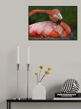 Tender Love Poster och Canvastavla