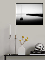 Neeberg - lonely bird Poster och Canvastavla