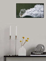 Surfing rooster Poster och Canvastavla