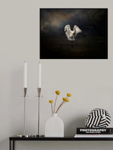 Descend of an Angel Poster och Canvastavla