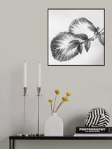 Leaves and a sprig Poster och Canvastavla