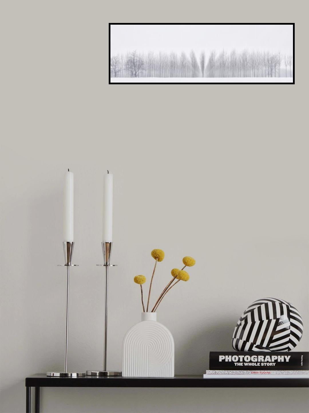 Winter woodland Poster och Canvastavla