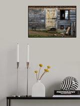 A man, a dog, an empty chair Poster och Canvastavla