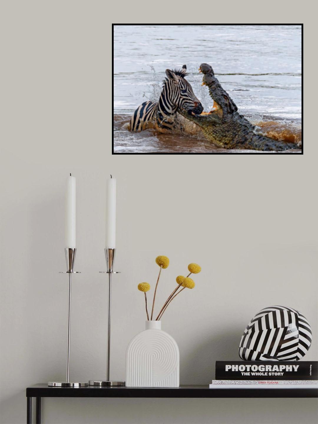 Crocodile Killing Poster och Canvastavla