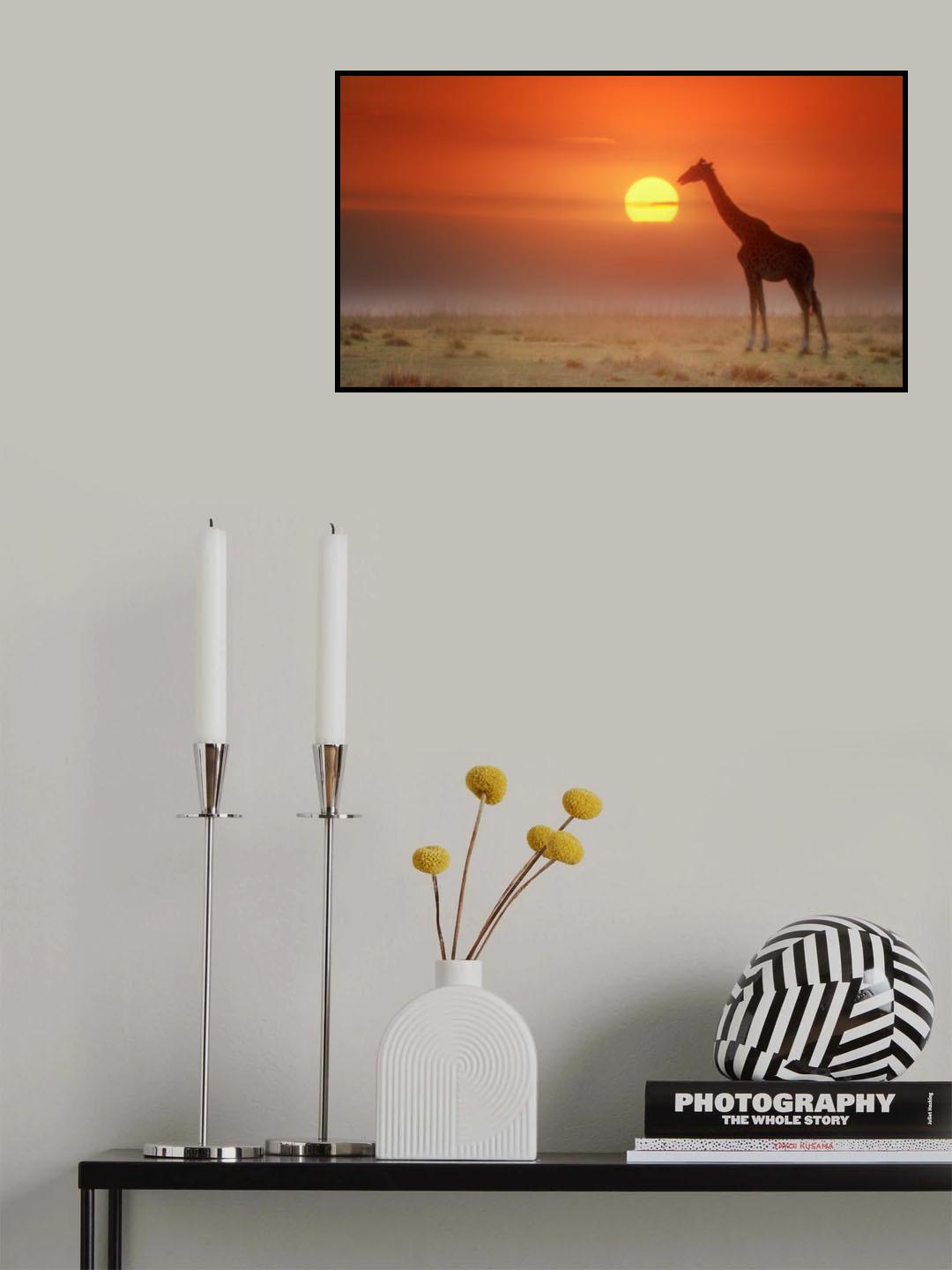 Kiss the sun Poster och Canvastavla