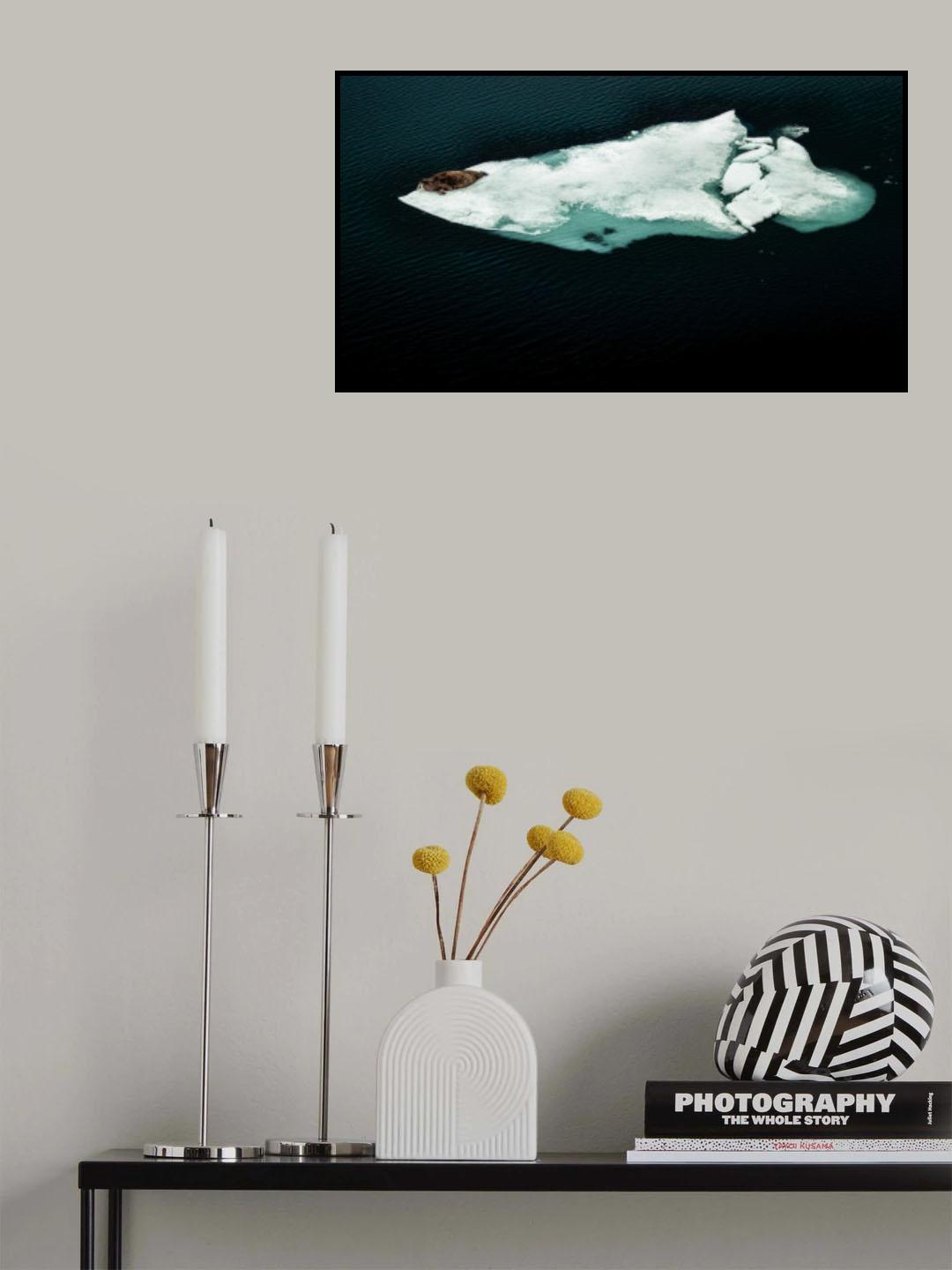 I am the walrus Poster och Canvastavla